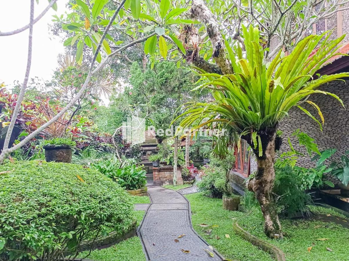 Апартаменты Nando House Убуд Экстерьер фото
